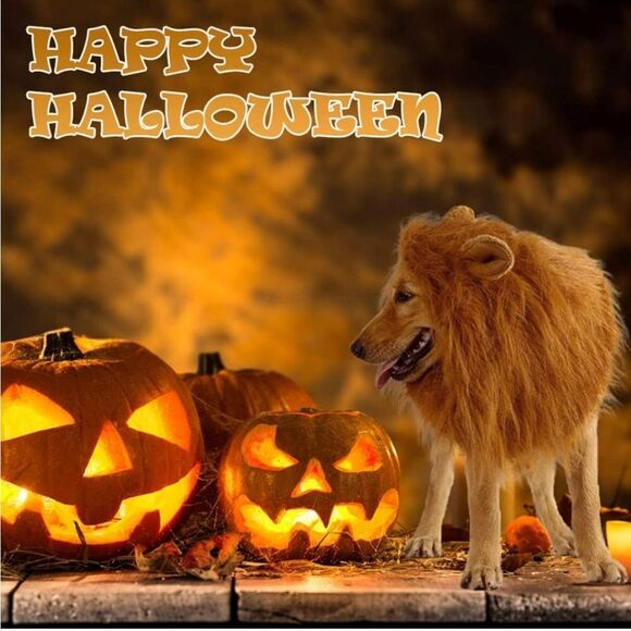 Lion mane dog costume Size M- L NWOT - Picture 10 of 11